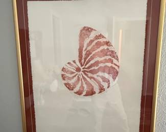 Nautilus Shell Print by D. Morgan