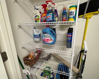 Large Lot of Household Cleaning Supplies – Clorox, Downy, Windex & More