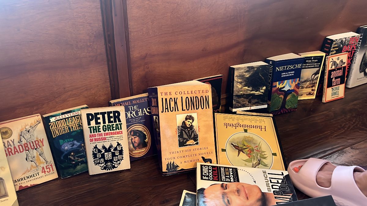 A variety of classical books- some are on high school and college reading lists