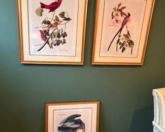 Bird art