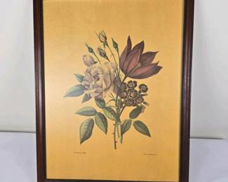 101 framedpoudart1829botanicallithdee