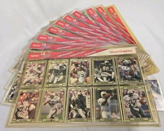 065 1990actionpackedpremierenflteamset
