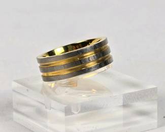 391 titaniumand18kgoldtwotone8mmmens
