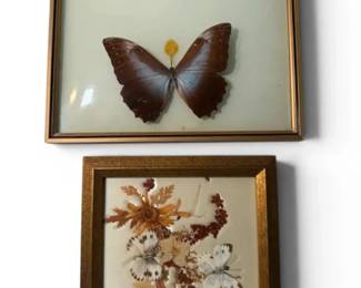 Mounted Butterfly Shadow Box Pressed Flowers