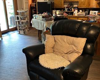 Leather Recliner