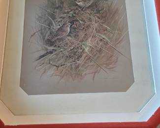 Set of Italian bird prints by Basil Ede