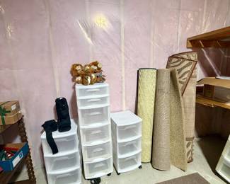 Storage bins and rugs