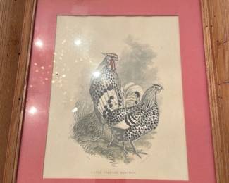 Silver Spangled Hamburgh Print — Framed antique poultry lithograph titled "SILVER SPANGLED HAMBURGH" showing a pair of Hamburg chickens with detailed stipple and line engraving. The print is double-matted in a muted red/maroon mat and housed in a simple oak frame with visible age wear and small nail holes; glass intact but with surface reflections. Good decorative condition with light age toning to the paper and minor frame scuffs consistent with age; ready to hang as-is or reframe to preserve the print.