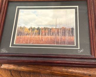Carol Framed Landscape Photo — Small framed landscape photo signed "Carol" in the matte shows a marsh/woodland scene with autumn tones and a layered double mat inside a simple stained wood frame. The piece is ready to display on a shelf or tabletop and has light surface dust and minor scuffs to the frame consistent with normal use. Unframed image area is very small—perfect as an accent or part of a gallery wall. Frame appears solid with no major damage visible in photos.