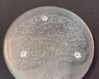 Solid Glass Trivet — Solid glass trivet with an embossed tree motif shown on both faces. Heavy clear glass construction with raised detailing; appears intact with light surface scuffs consistent with normal use. Compact and decorative for protecting surfaces from hot pots or as a display piece; no visible chips or cracks in the photos. Sold as shown.