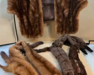 Frank A. Hill  Son Mink Stole