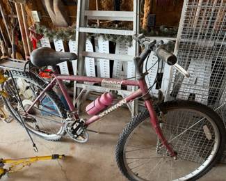 bike