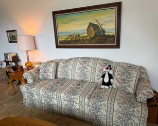 sleeper sofa