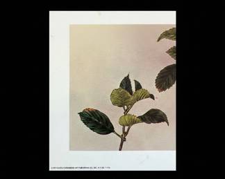 Hydrangea and Sparrows Print third image