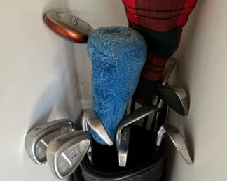 Mixed Set of Golf Clubs and Golf Bag second image