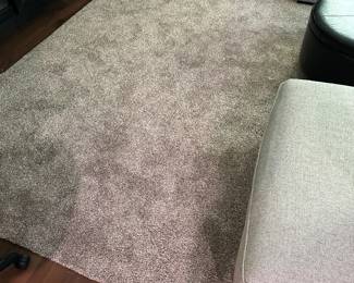 12’ x 14’ area rug