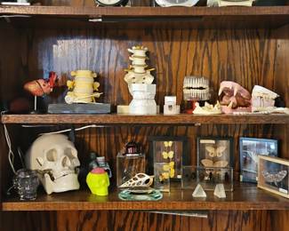 Curiosity Cabinet Collection