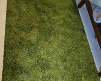 Green Shag Area Rug