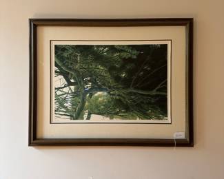 V52 - $125. Robert Bateman #817/950. "Up in the Pine" Great Horned Owl. Framed it measures 43” x 32.5”.
