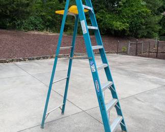 V140 -$60 Each. 2 Available. Werner 8' Model 6008. 250#.