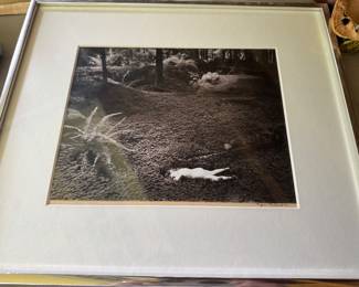 Wynn Bollock print, “Child in Forest, 1951”