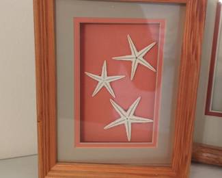 Framed Starfish Art