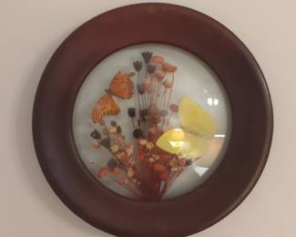 Framed Dried Butterfly and Floral Arrangement in Convex Glass