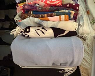 Assorted Scarves and Shawls Lot
