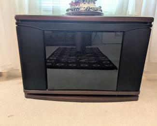 Bose 901 Series V Direct/Reflecting Stereo Speakers