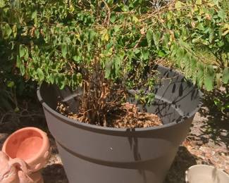 Large Plastic Planter Pot 