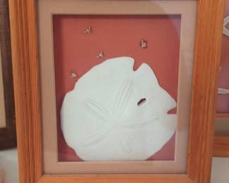 Shadow Box Sand Dollar with Small Shells