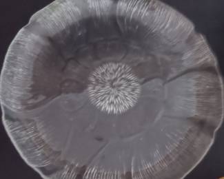 Arcoroc Fleur Glass Plate