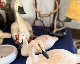 Wood Ducks and Geese