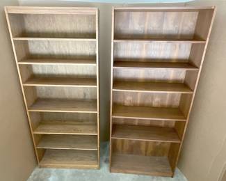 2 Colossal Bookcases