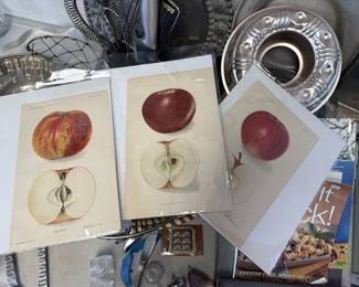 Botanical apple prints