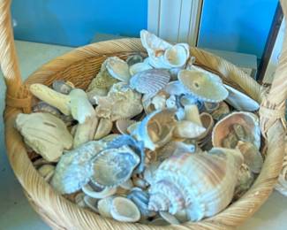 #190 Wicker basket full of shells $20.00
