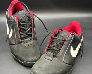 Nike Zoom Air Shoes