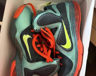 Nike Lebron Cannon