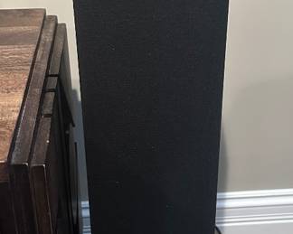 Definitive Technology floor speakers