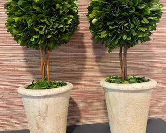 Pair of Boxwood Topiaries