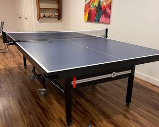 Ping Pong Table, sports