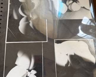 Black & White Photos