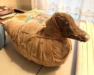 Mummified Wood Duck