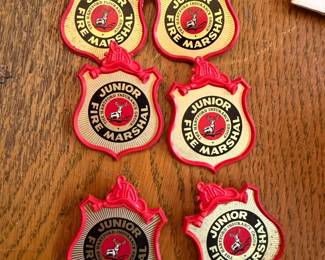 Junior Fire Marshall Pins