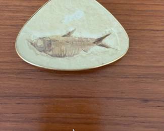Knightia Fossil Fish Pendant in Gold Tone Frame