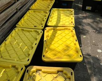 We aren't kidding. We have a lot of fossils. Come prepared to dig and make some offers.