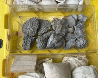Huge collection of fossils