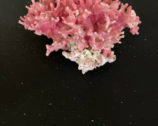 Pink California Allopora Coral