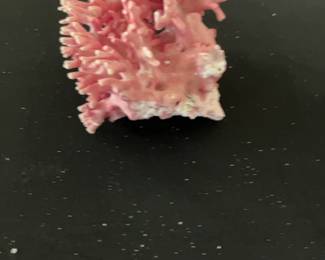 Pink California Allopora Coral