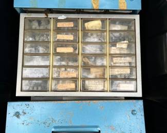 Come home with a container of fossils 